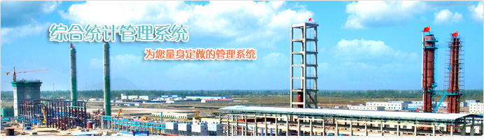 综合统计管理系统