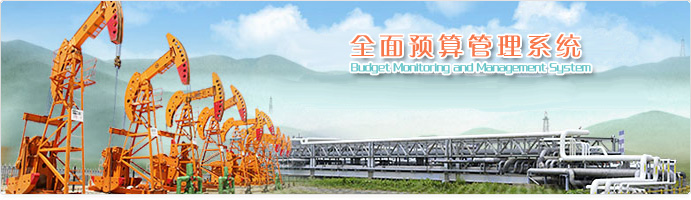 全面预算管理系统